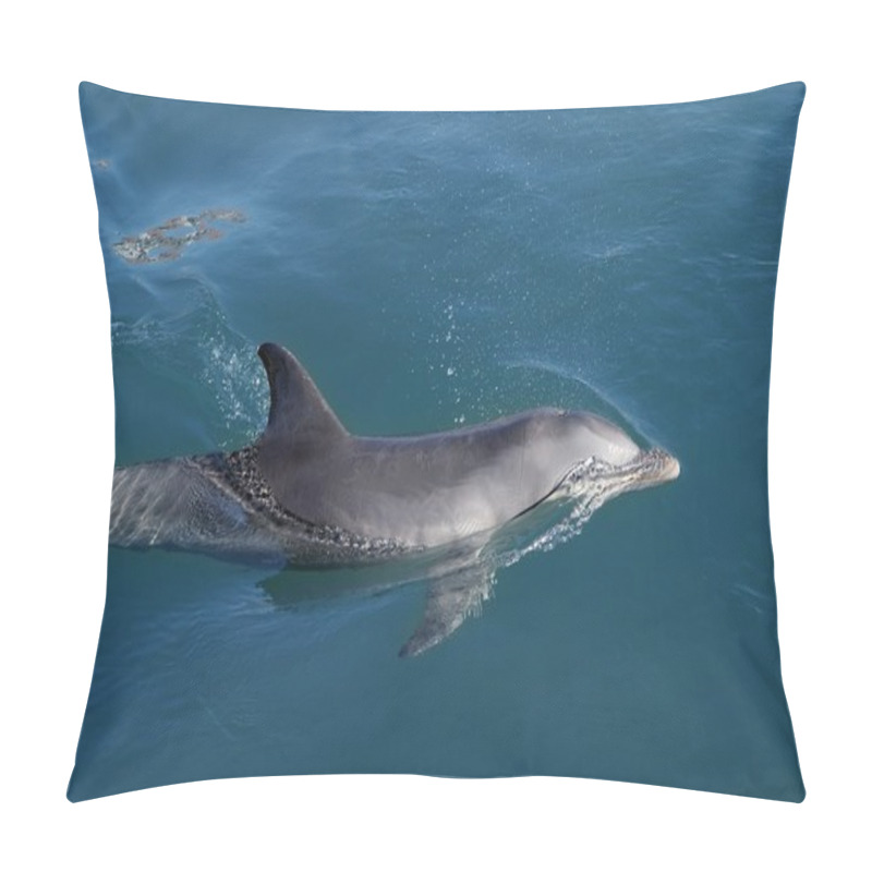 Personality  Nature And Environment Pillow Covers