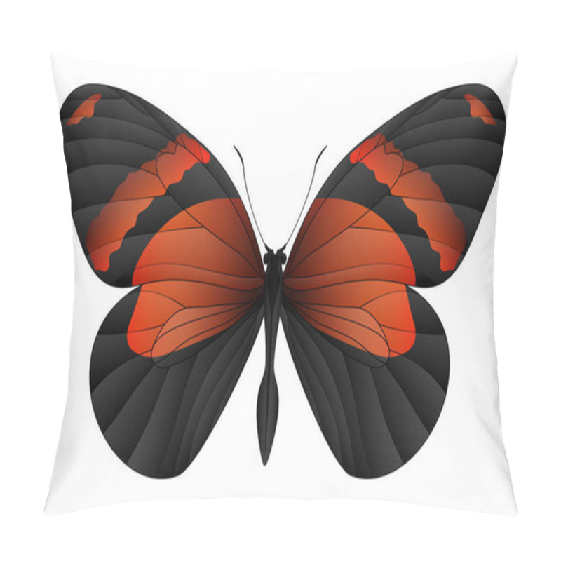 Personality  Beautiful Butterfly Isolated On A White Background Pillow Covers