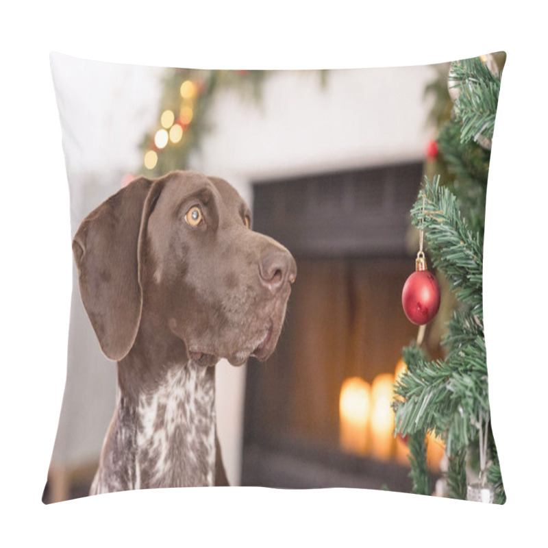 Personality  Close Up Of Dog And Ornaments With Fire Place In The Background Pillow Covers