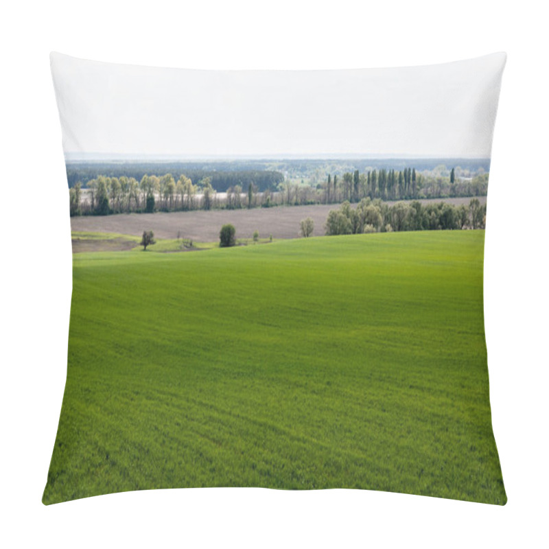 Personality  Fresh And Green Grassy Field Near Trees And Bushes  Pillow Covers