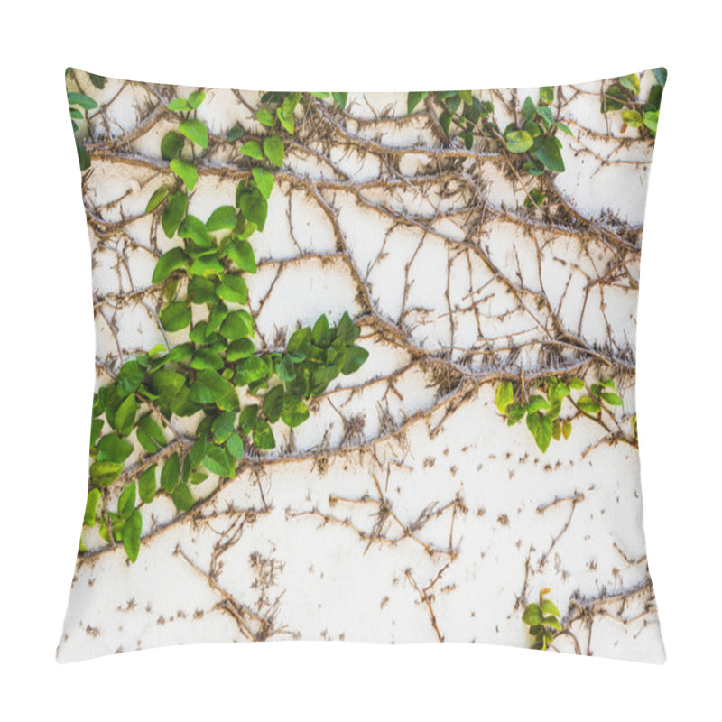 Personality  Braiding Of Plants On The Wall. Pillow Covers