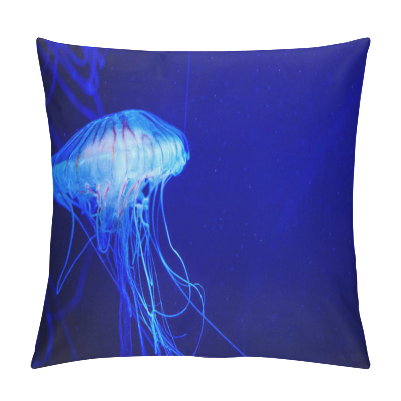 Personality  Beautiful Jellyfish, Medusa In The Neon Light With The Fishes. Underwater Life In Ocean Jellyfish. Pillow Covers