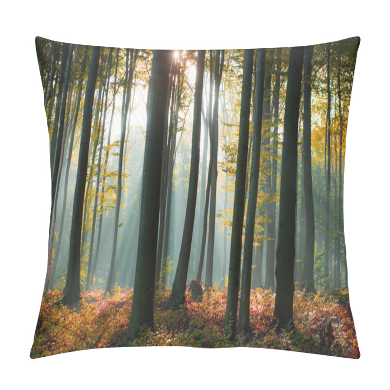 Personality  Beautiful Morning Sunbeams In Misty Forest Pillow Covers