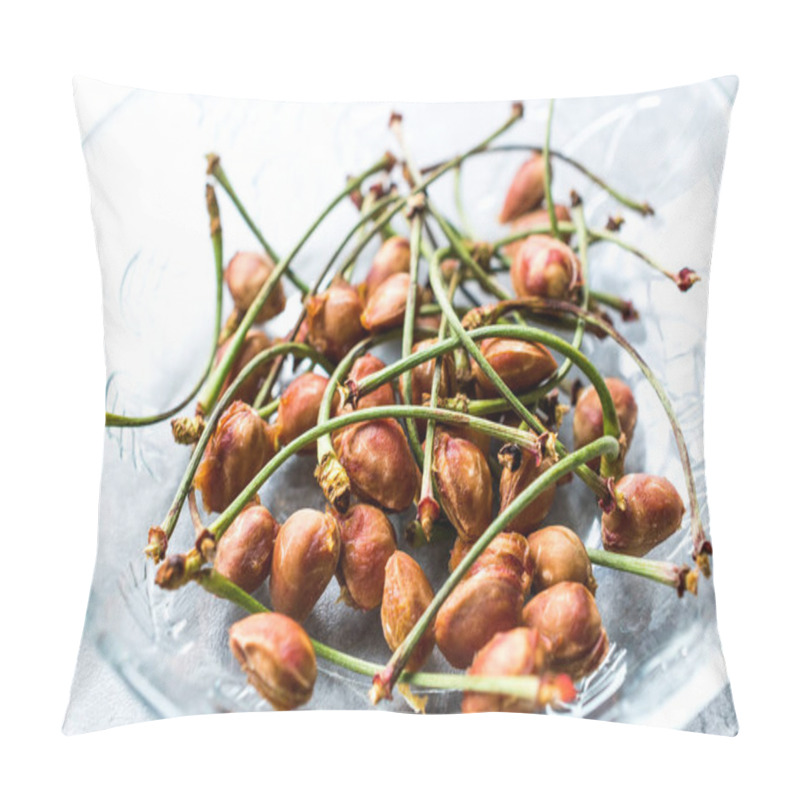 Personality  Cherry Seeds With Stalks / Fruit Garbage. Organic Food. Pillow Covers