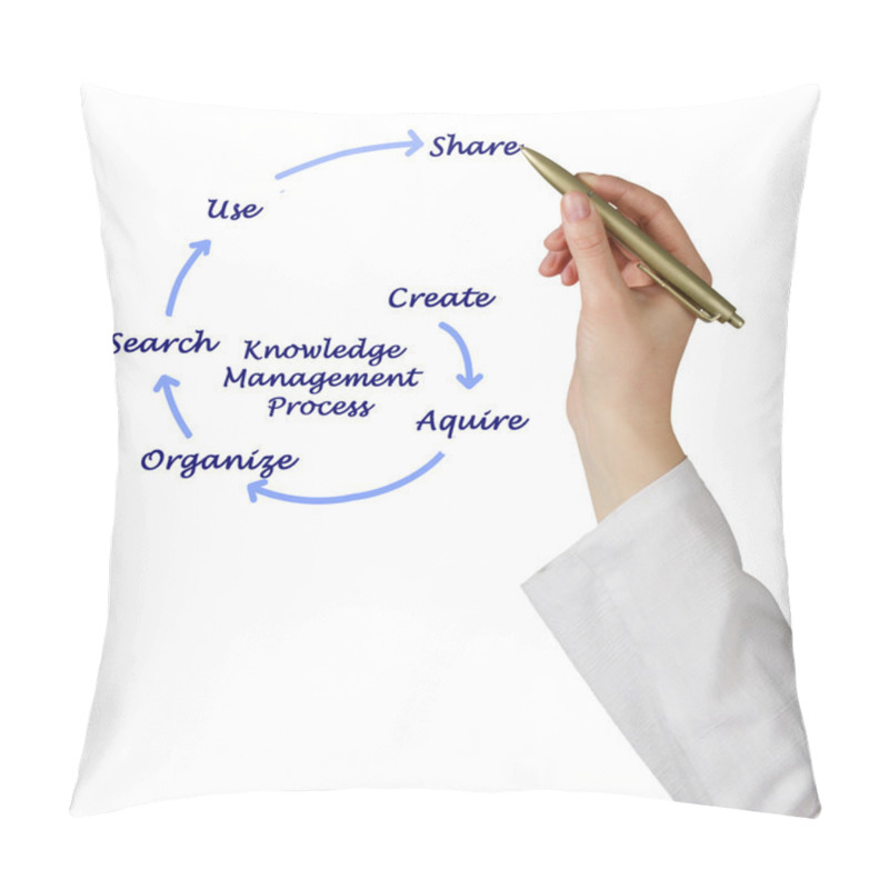 Personality  Diagram Of Knowledge Management Process Pillow Covers