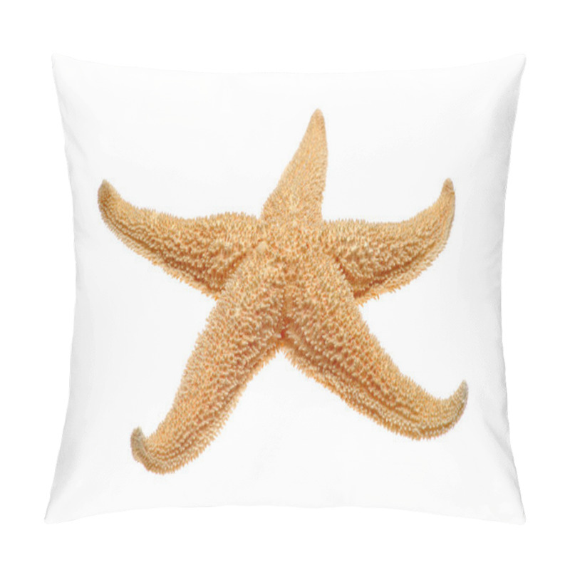 Personality  Close-up Starfish Pillow Covers