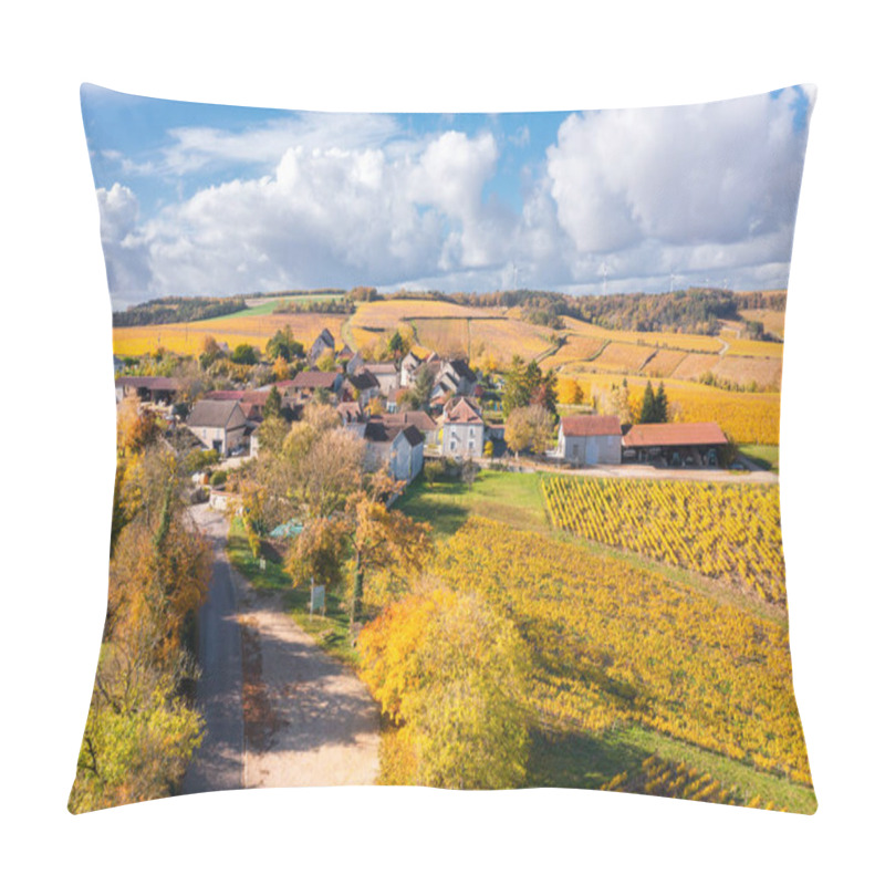 Personality  Burgundy, Cote Dor, Vineyards And Landscape In Autumn. Chablis Pillow Covers