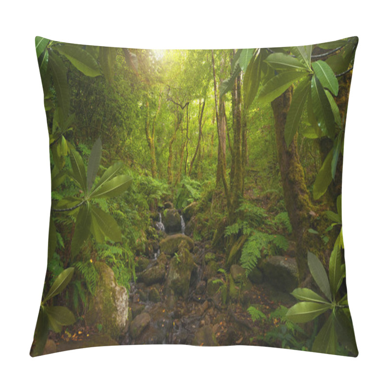 Personality  Southeast Asian Tropical Jungle Pillow Covers