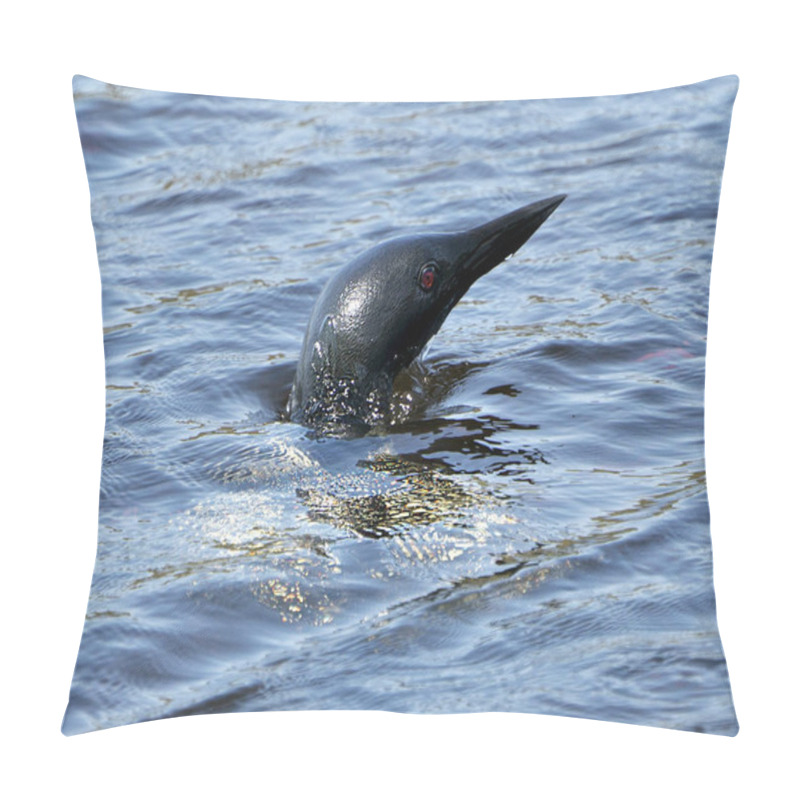 Personality  Loon Head Out Of Water In The Lake In Its Environment And Habitat, Displaying Red Eye. Loon In Wetland Image. Loon On Lake. Loon Photo Stock.  Pillow Covers