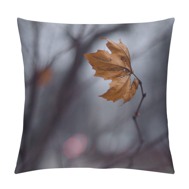 Personality  Minimal Autumn Art. Pillow Covers