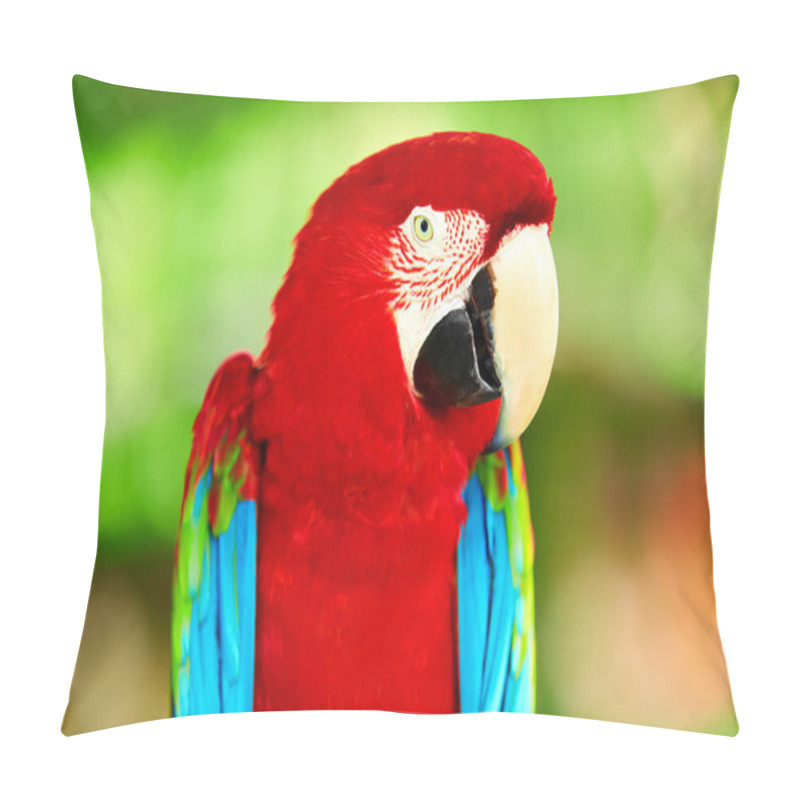 Personality  Birds, Animals. Red Scarlet Macaw Parrot. Travel, Tourism. Thail Pillow Covers