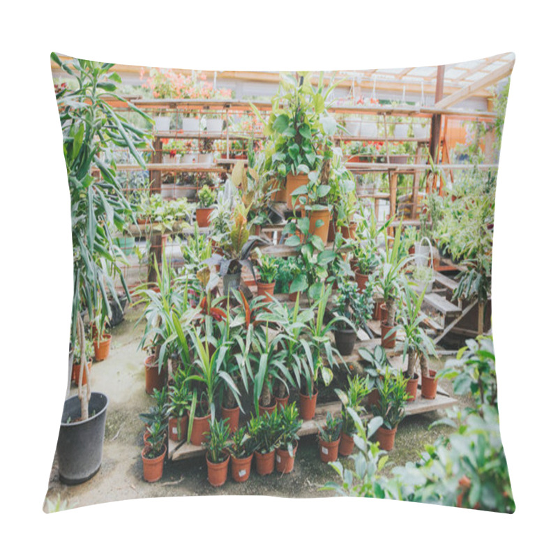 Personality  Many Potted Plants And Trees Growing In A Greenhouse Pillow Covers