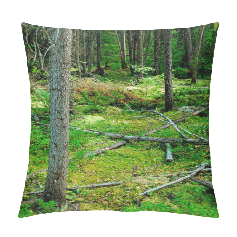 Personality  Wilderness Dark Green Forest Pillow Covers