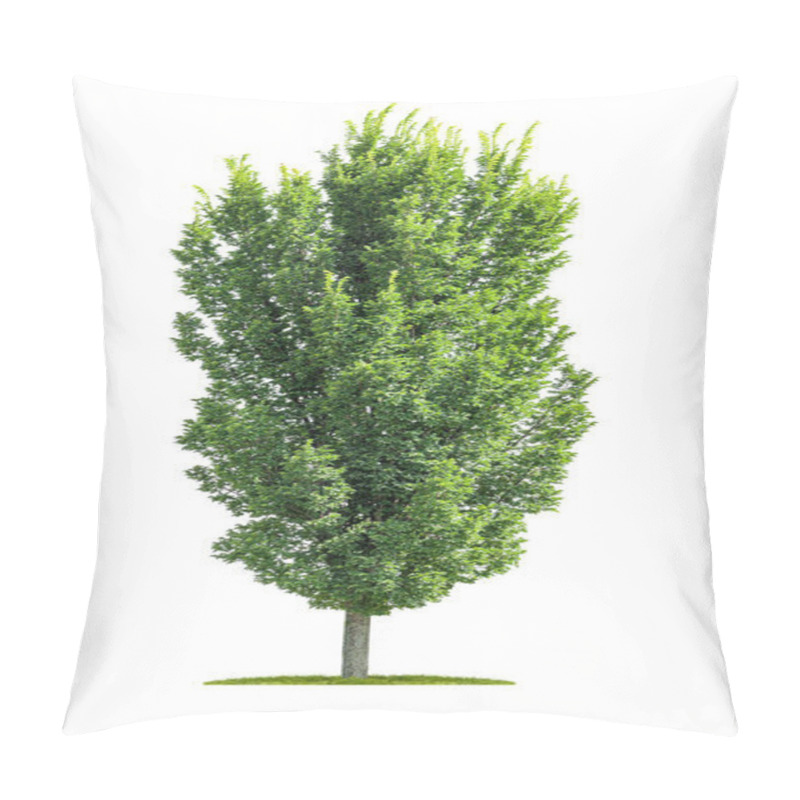 Personality  Isolated Poplar Tree On A White Background Pillow Covers