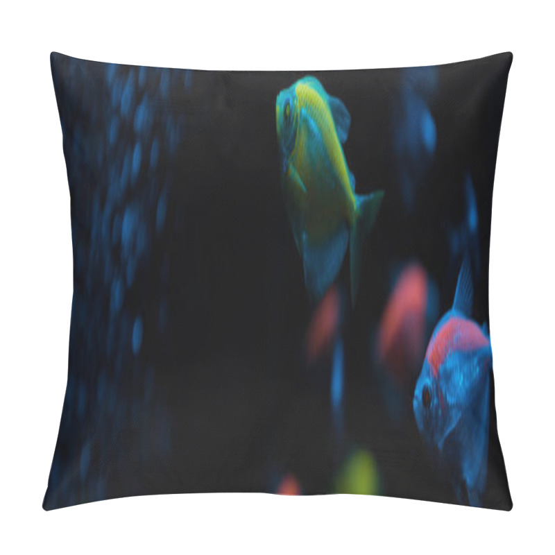 Personality  Selective Focus Of Aquarium Fishes With Neon Light On Black Background, Panoramic Shot Pillow Covers