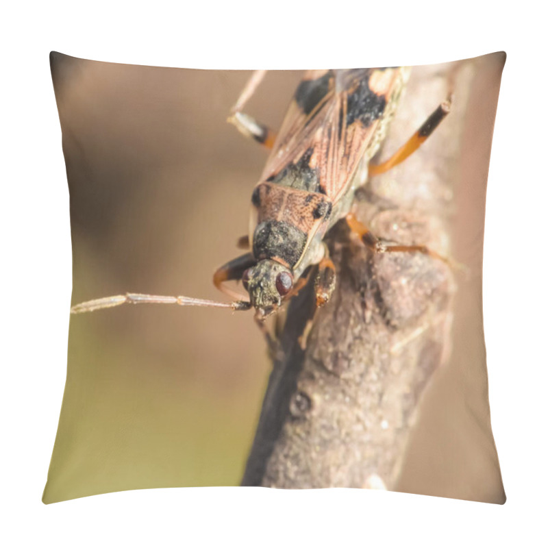 Personality  Rhyparochromidae Sits On A Branch. Macro Photo Of An Insect Pillow Covers