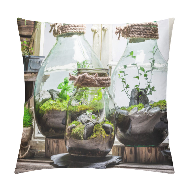 Personality  Stunning Jar With Piece Of Forest As New Life Concept Pillow Covers