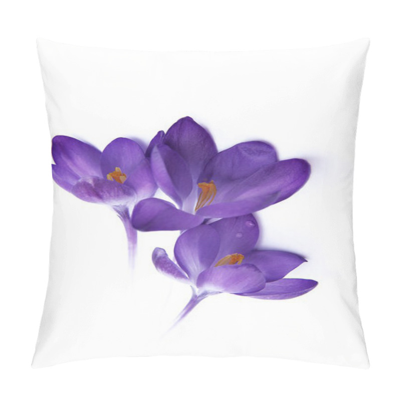 Personality  Crocus Pillow Covers