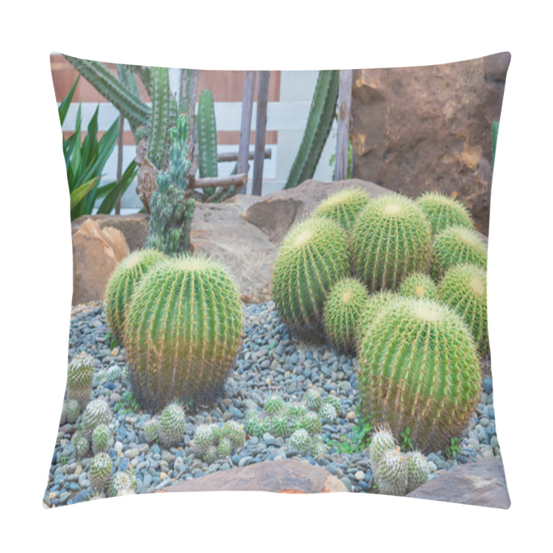 Personality  Beautiful Big Cactus In The Rock Garden Pillow Covers