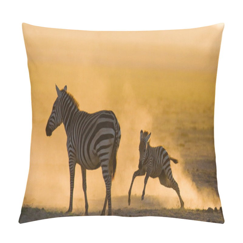 Personality  Zebra With Baby In The Dust Pillow Covers