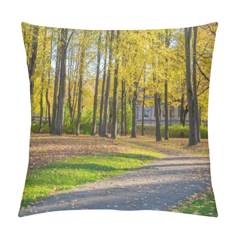 Personality  Arkadijas  Park In Riga, District Agenskalsns. Autumn, Yellow Tr Pillow Covers