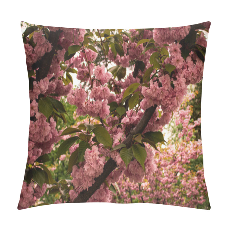 Personality  Branches Of Sakura In Full Bloom With Delicate Pink Flowers, Creating A Peaceful And Picturesque Scene. A Stunning Representation Of Spring And Renewal In Nature. Pillow Covers