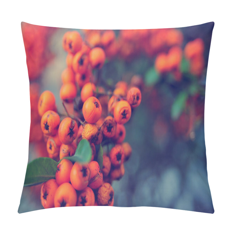 Personality  Green Leaves, Arborvitae Leaves (leaves Of Thuja, Thuya), Rowanberry Fruits Pillow Covers