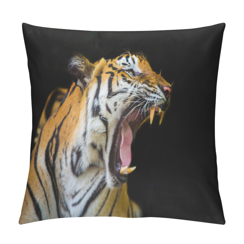 Personality  The Tiger Roars And Sees Fangs Preparing To Fight Or Defend. Pillow Covers