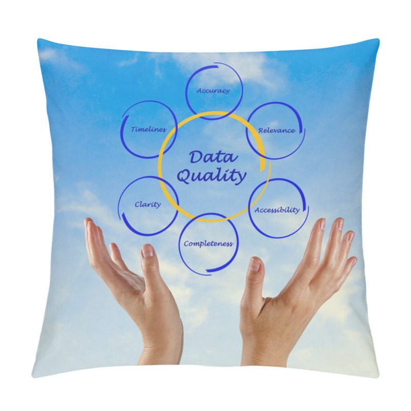 Personality  Diagram Of Data Quality Pillow Covers