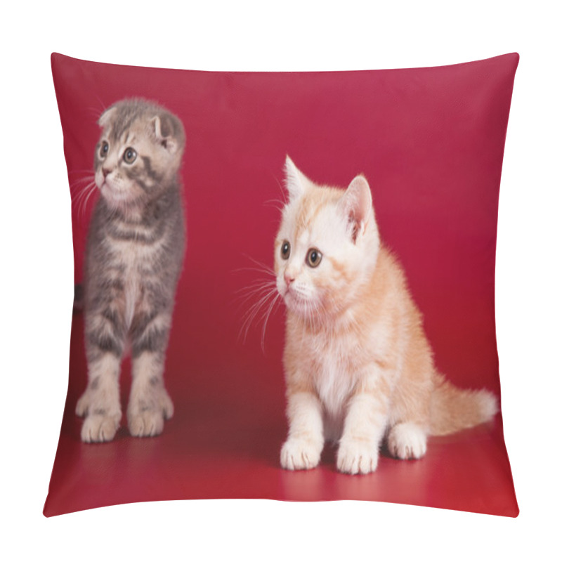 Personality  Two Little Kittens On Red Background Pillow Covers