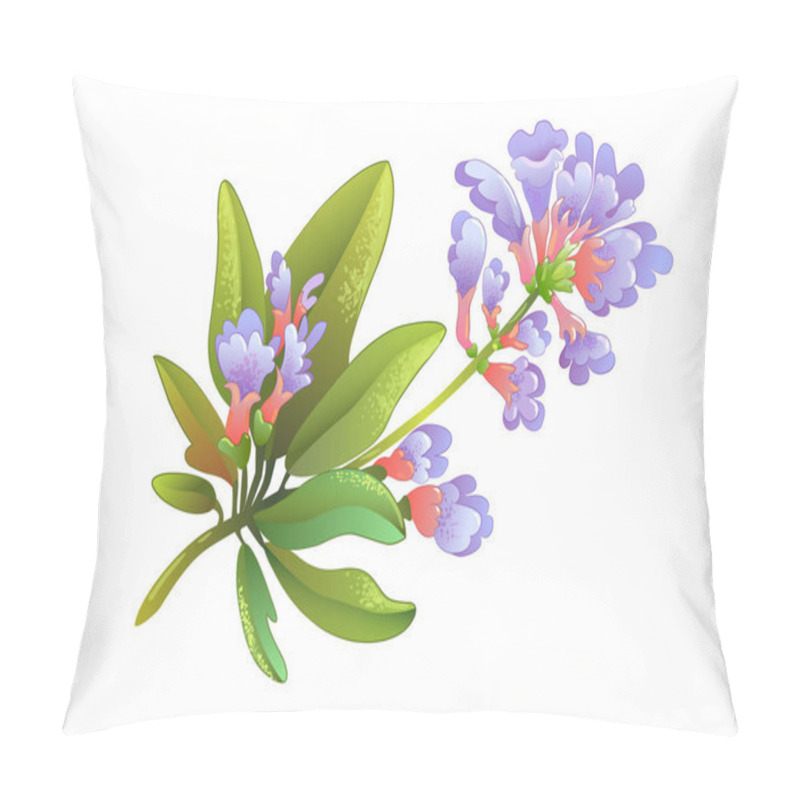 Personality  Sage (salvia) Herb Isolated. Vector Illustration, Icon Of  Tea Additive  Pillow Covers