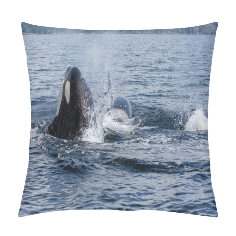 Personality  Jumping Orca Whales  Pillow Covers