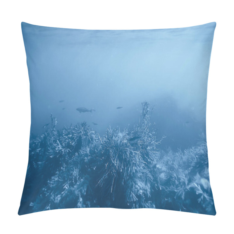 Personality  Landscape Diving In Cenote, Underwater Fog Hydrogen Sulfide, Extreme Adventure In Mexico Pillow Covers