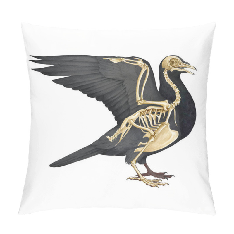 Personality  Bird Skeleton With Body Silhouette. Realistic Detailed Illustration. Bird Internal Anatomy Structure For Study. Pigeon Skeleton With All Detailed Bones Science Image On White Background. Pillow Covers