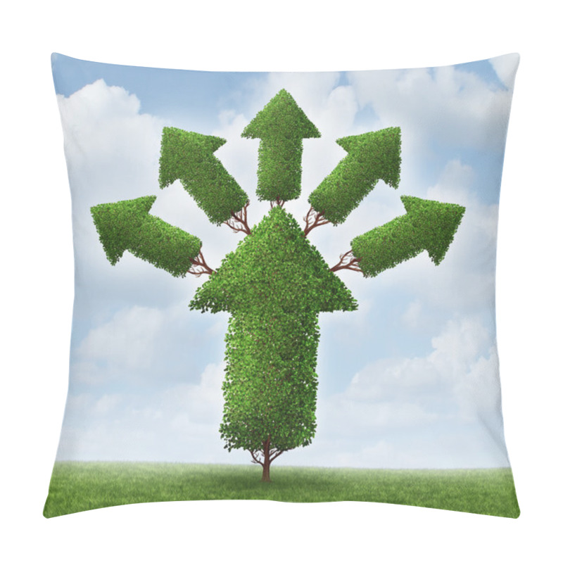 Personality  Success Expansion Pillow Covers