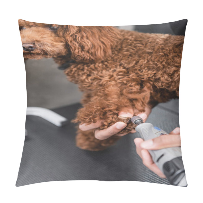 Personality  Cropped View Of African American Groomer Polishing Claws Of Poodle With Nail Grinder Pillow Covers