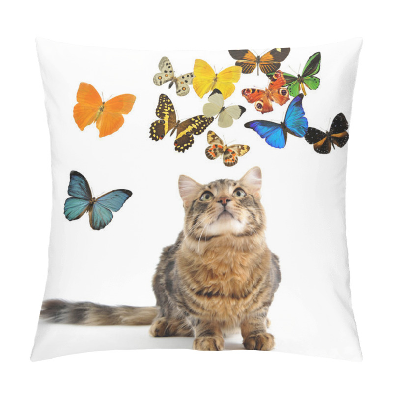 Personality  Young Norwegian Cat And Butterfly Pillow Covers