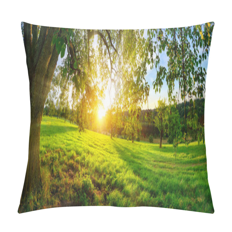 Personality  Sunset View From Under A Tree On A Green Meadow With Hills On The Horizon Pillow Covers