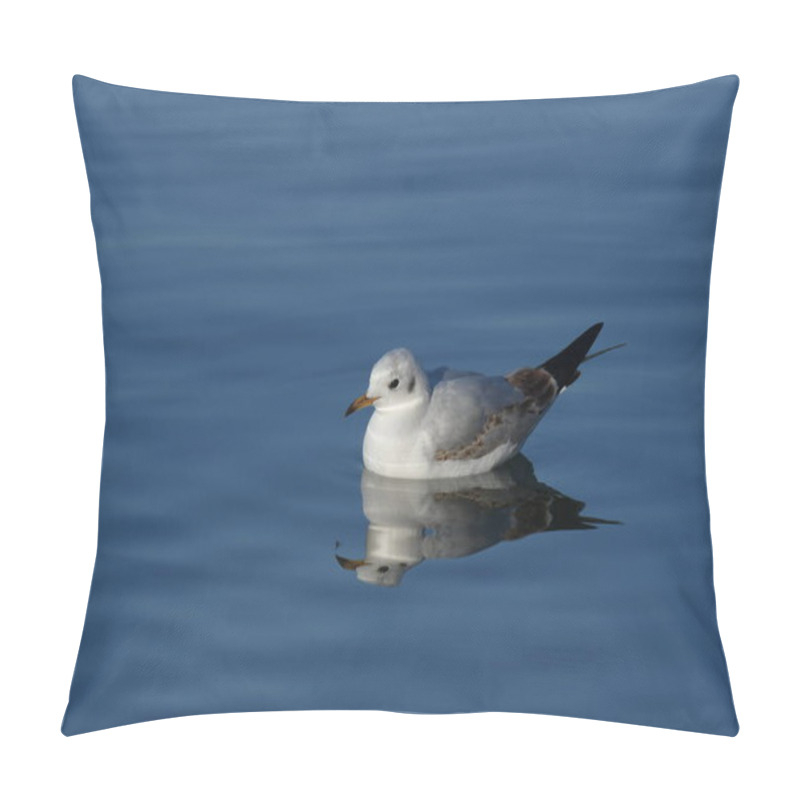 Personality  Black-headed Gull -  (Chroicocephalus Ridibundus)  Pillow Covers