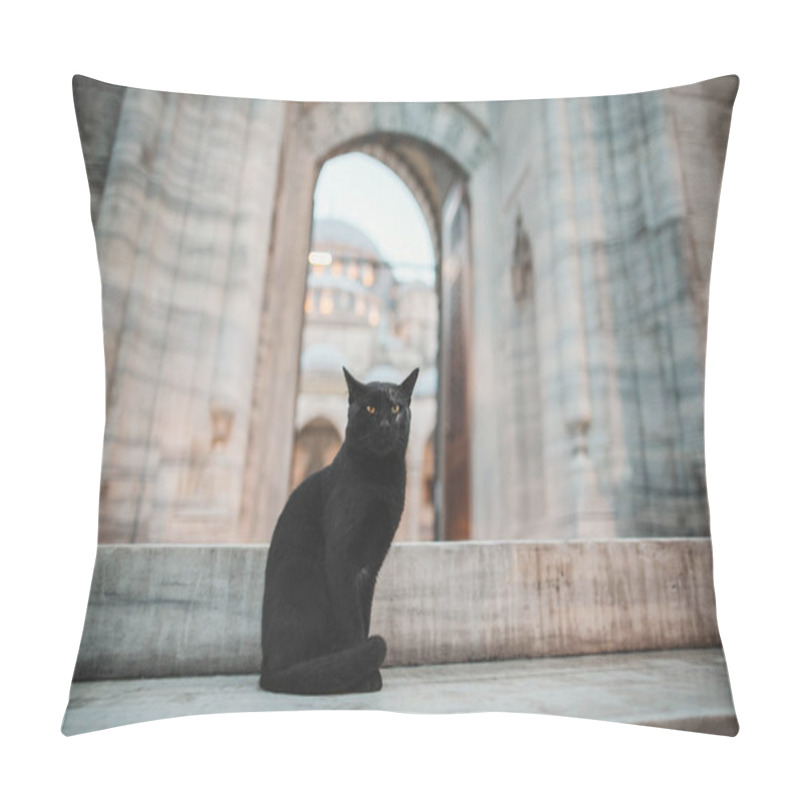 Personality  cat pillow covers