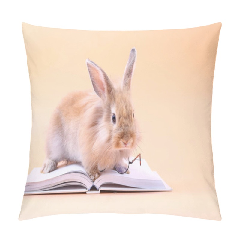 Personality  Cute Rabbit Sitting On A White Book With Glasses Placed. Easter Holiday Pillow Covers