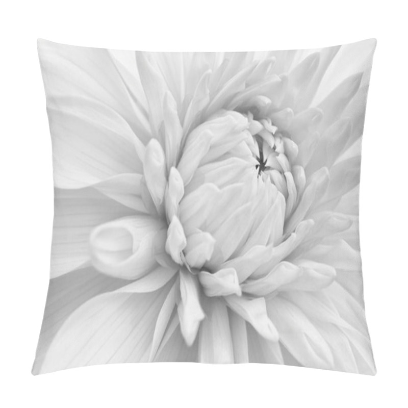 Personality  Dahlia Bloom. Flower Petals Close-up. Light Vegetal Background. Pale Black And White Plant Wallpaper. Macro Pillow Covers