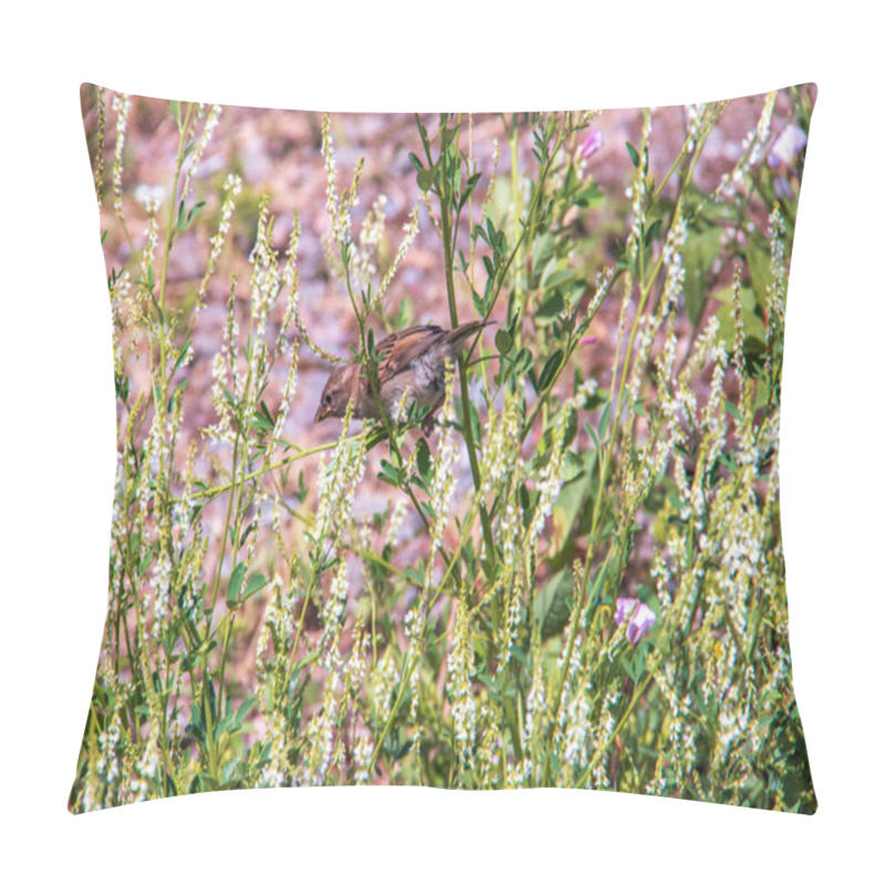 Personality  Melilotus Albus Medik. Sparrows In The Thickets Of Sweet Clover  Pillow Covers