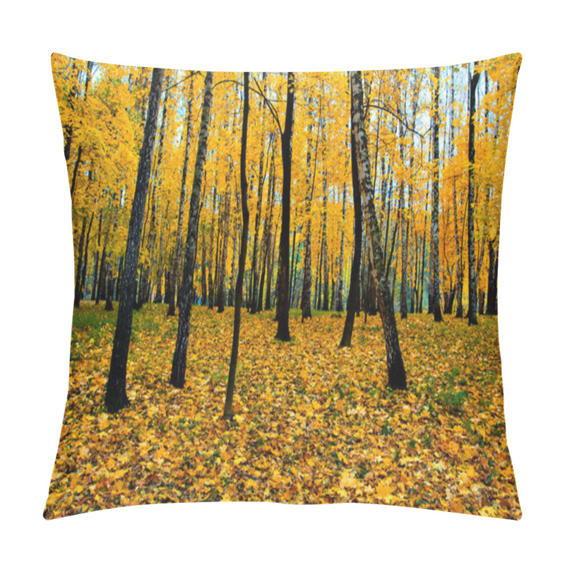 Personality  Beautiful Vivid Autumn Forest Pillow Covers