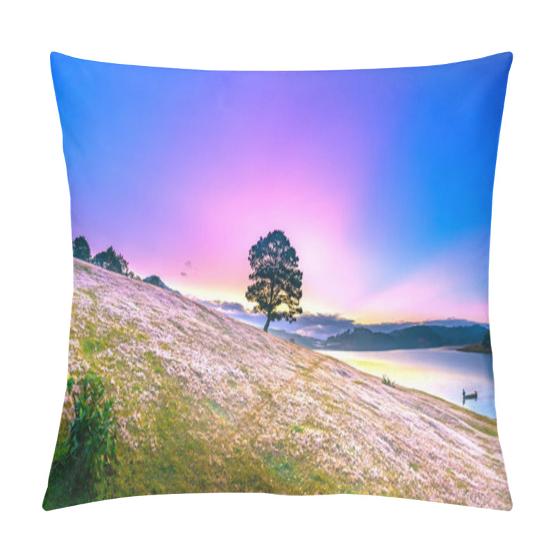 Personality  Magical Snow Grass Hill And Pine Tree Dawn When The Sun Rays Clouds Shine In The Sky, Grass Is Covered With A Mist Like White Snow After A Long Night. This Species Appears Only When Winter Changes In Da Lat, Vietnam Pillow Covers