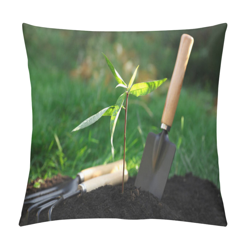 Personality  Seedling Growing In Fresh Soil And Gardening Tools Outdoors. Planting Tree Pillow Covers