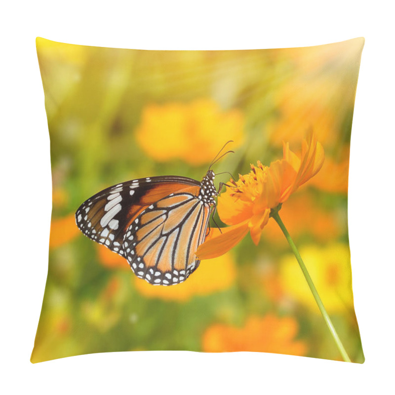 Personality  Butterflies And Flowers Pillow Covers