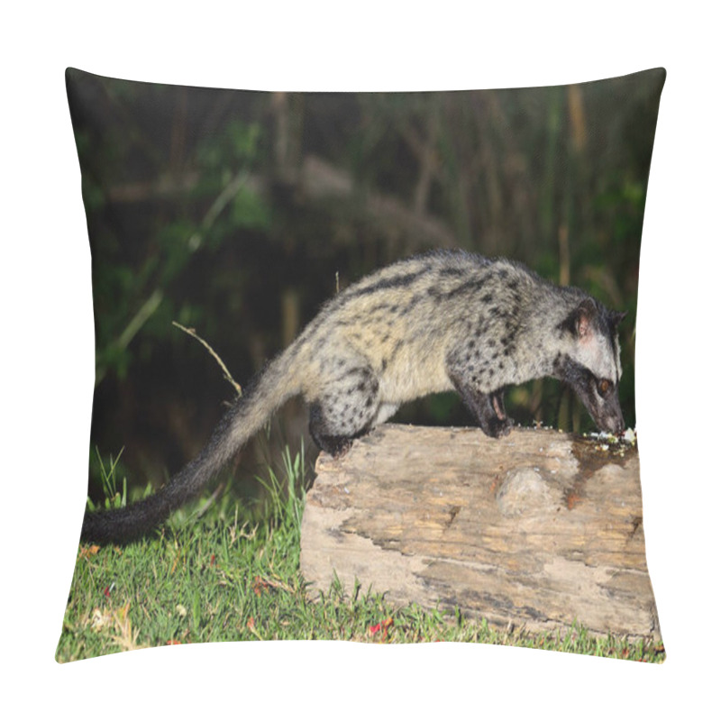 Personality  Palm Civet Taking Meal In The Night Time Pillow Covers