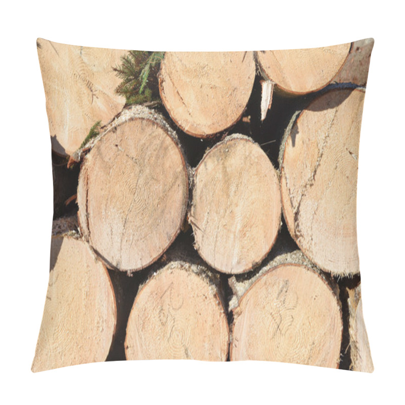 Personality  Preparation And Wood Warehousing In An Industrial Landscape. Pillow Covers