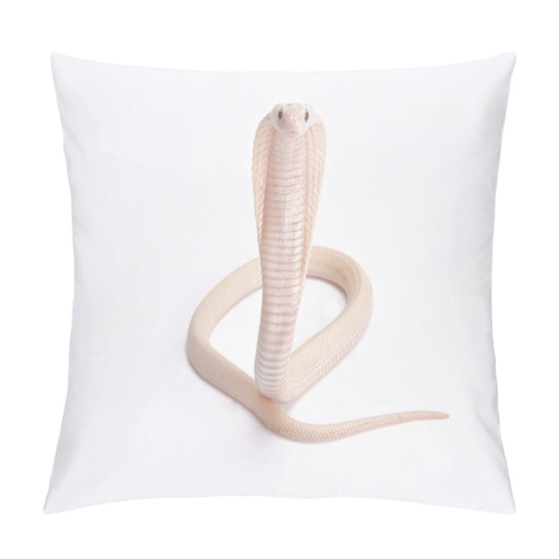 Personality  Albino Cobra, Naja Kaouthia Pillow Covers